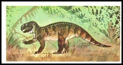24 Psittacosaurus